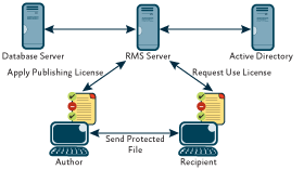 Image result for rights management services