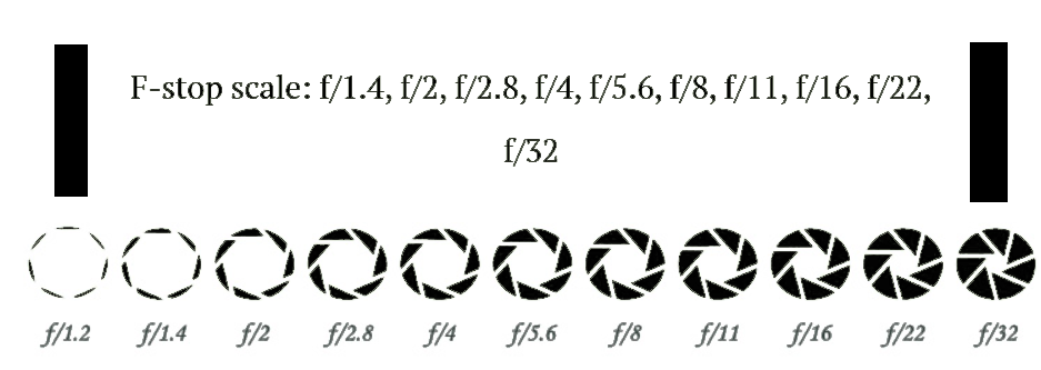 A number of black circles with numbers

Description automatically generated with medium confidence