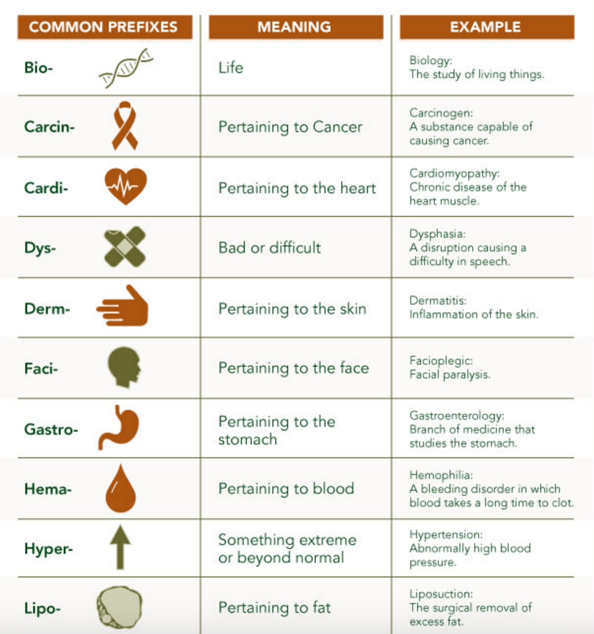 how to memorize medical terms | Medical words, Medical terminology, Medical  terms