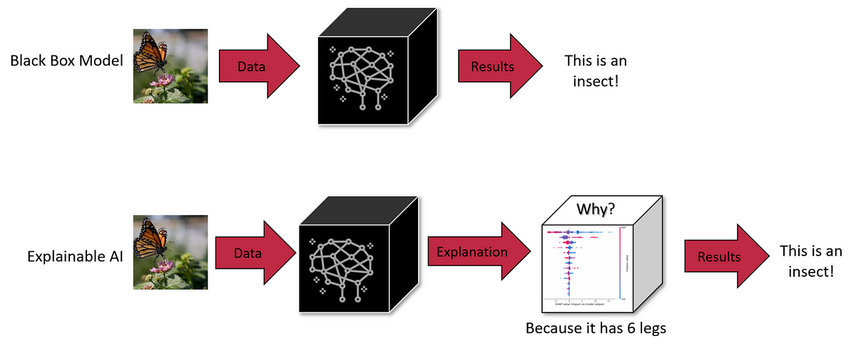 Machine Learning Model Visualization