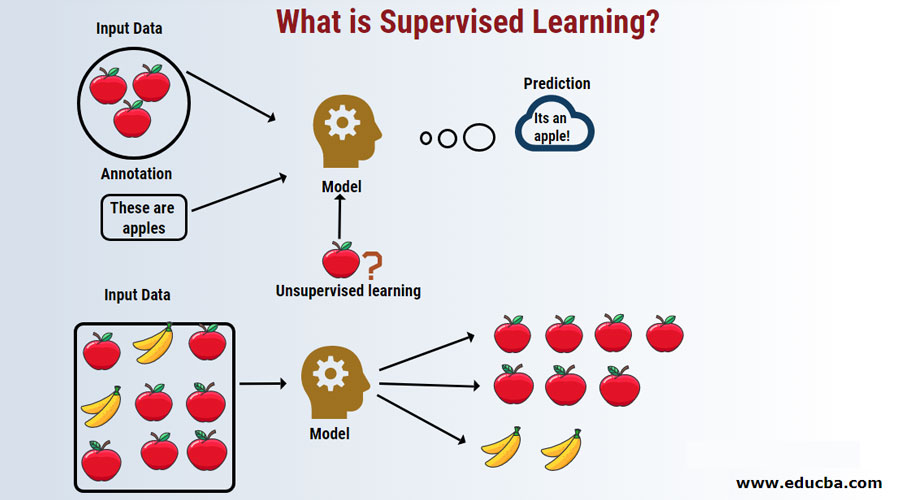 Machine Learning Supervised Learning Examples