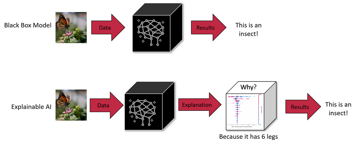 Machine learning model visualization