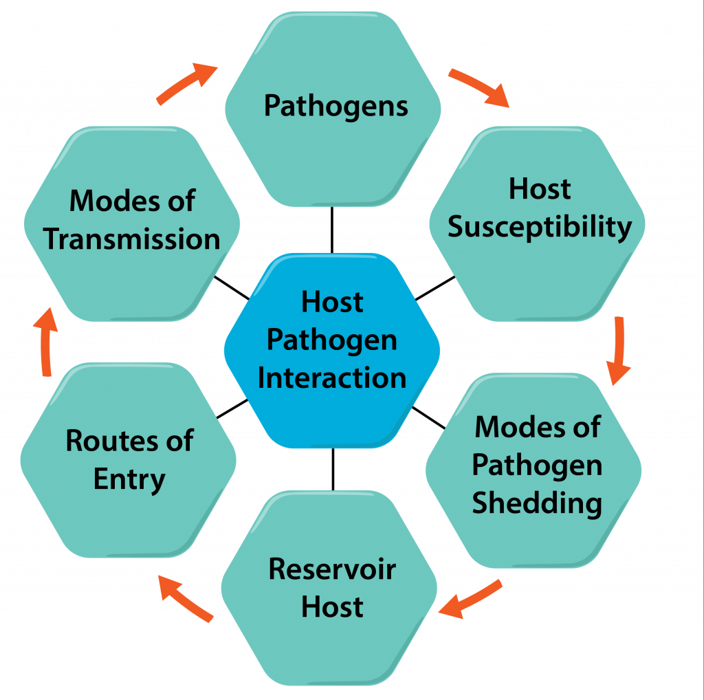 Pathogen-Host Interaction