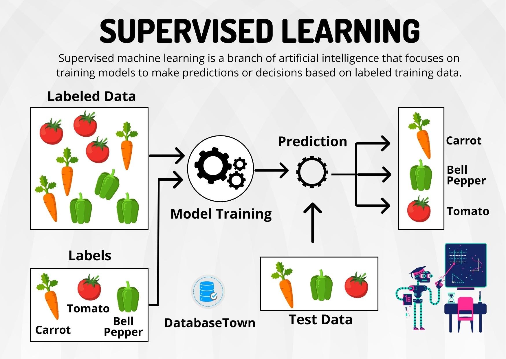 Supervised Learning Algorithms