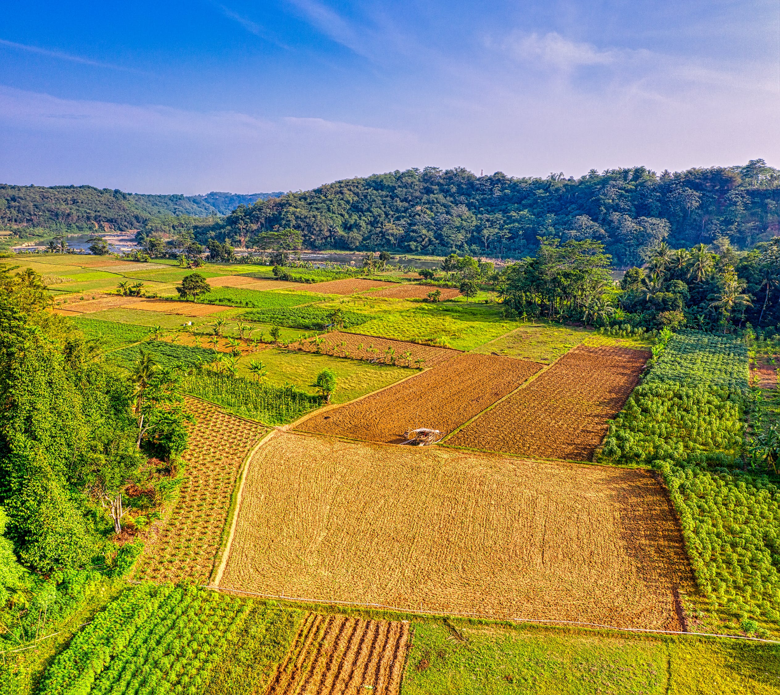 agricultural fields aerial view