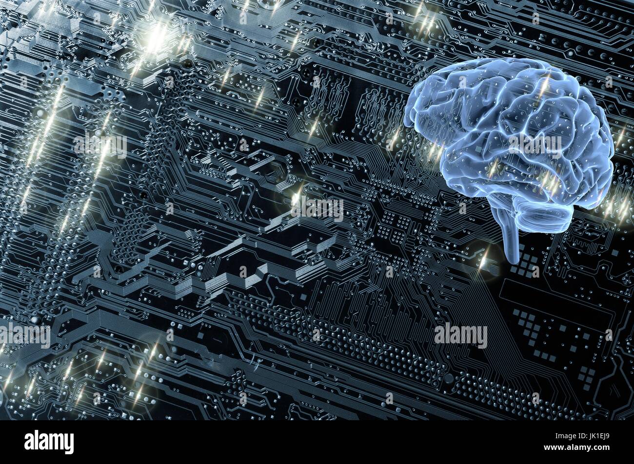Human Brain vs Computer Circuit