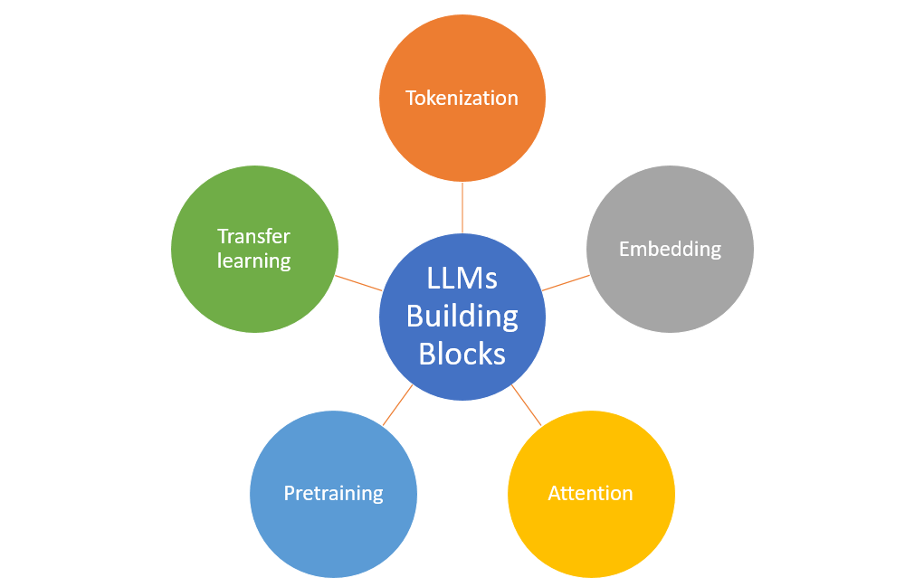 Large Language Model training process