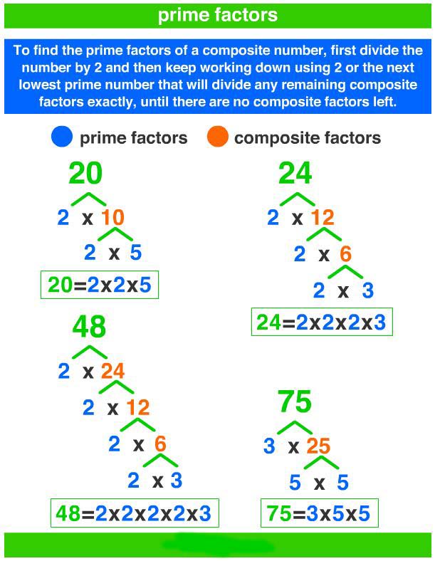 Prime factorization tree example