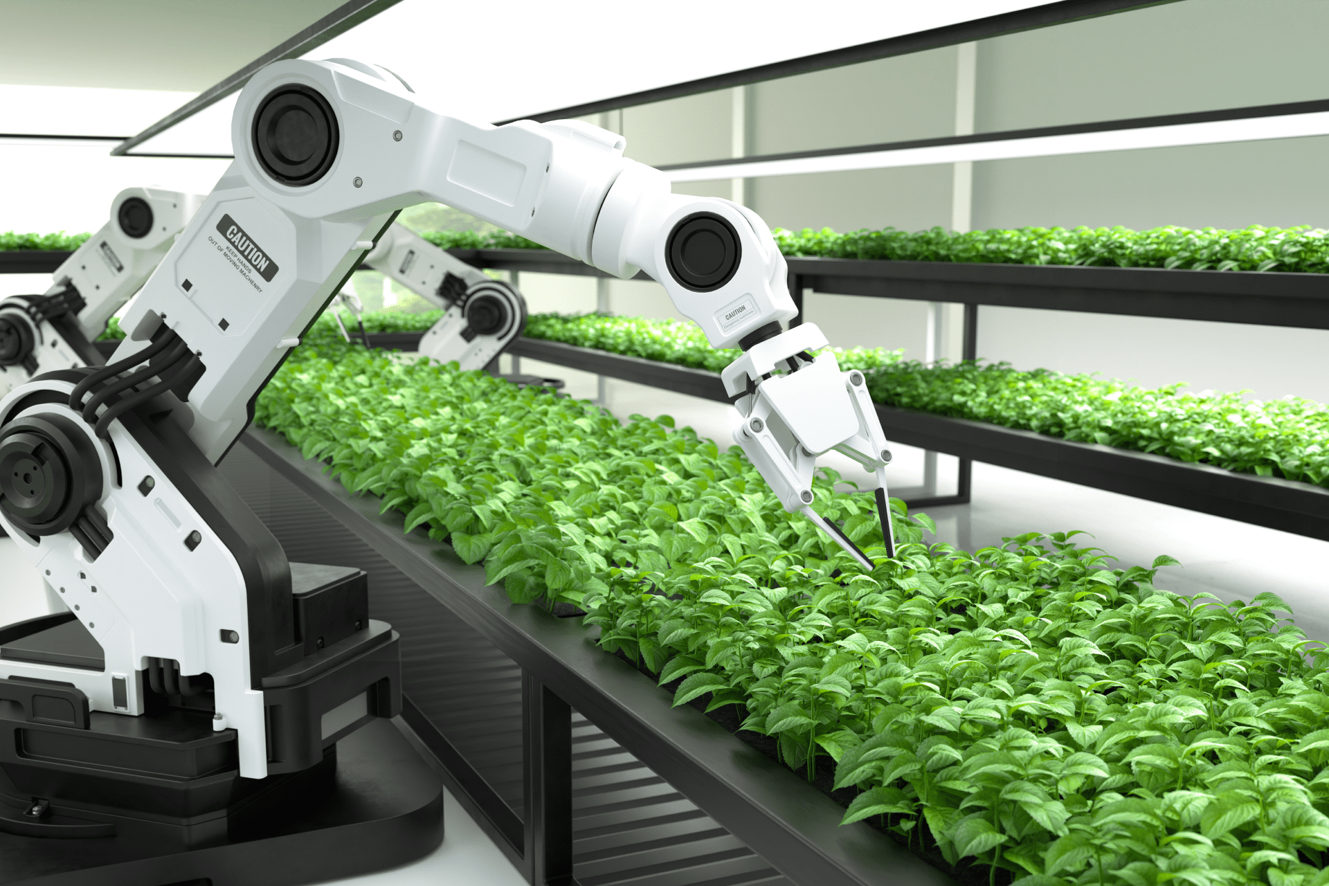 AI in Agriculture